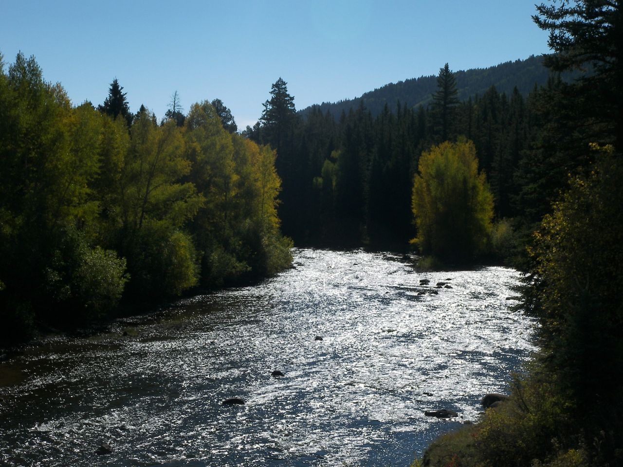 Sunlight glinting off a mountain river winding through evergreen forest